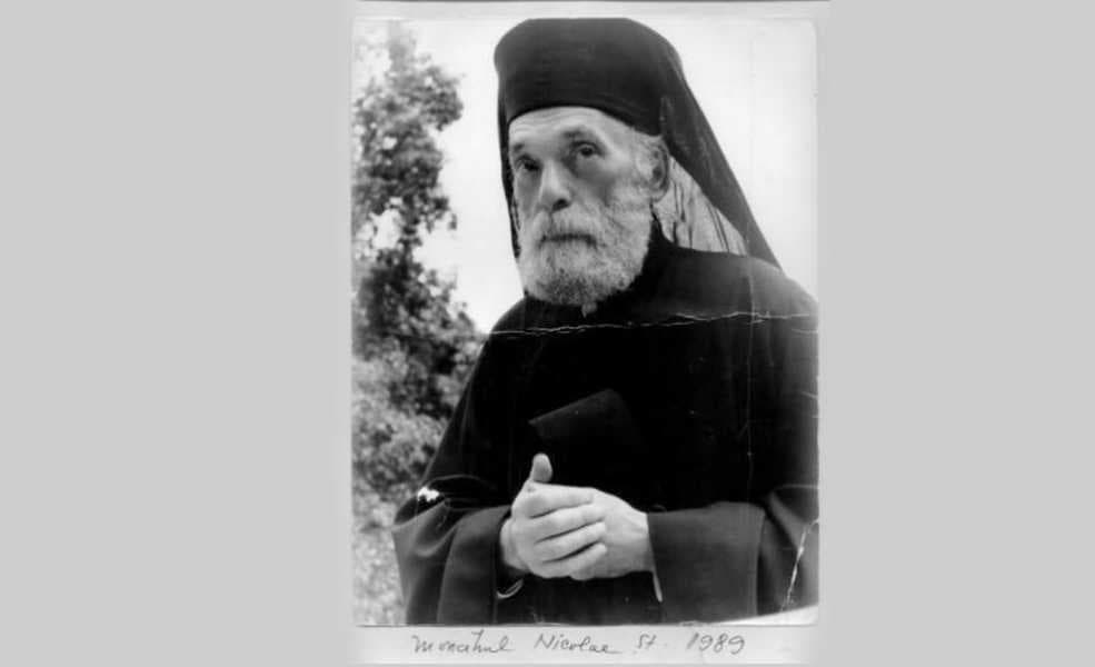 steinhardt_nicolae_2