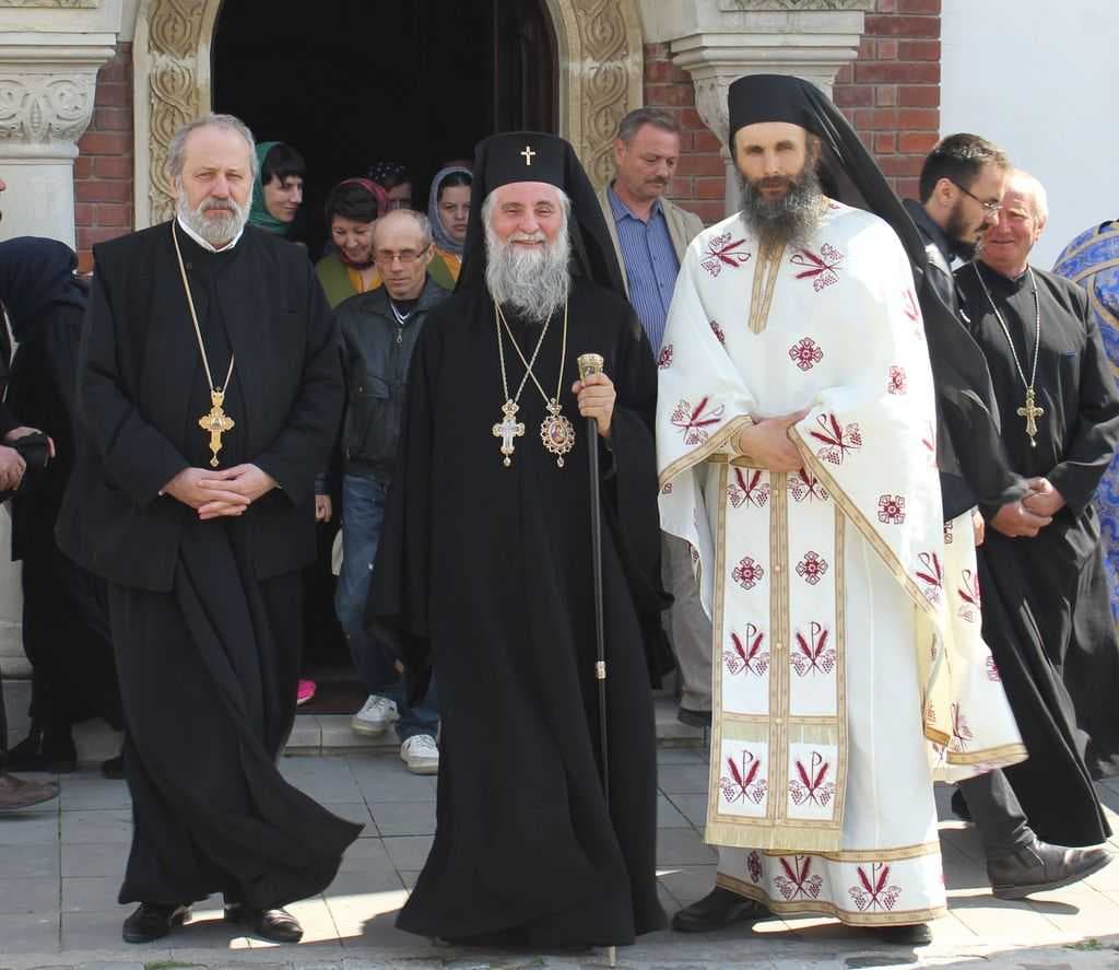 IPS Irineu la Sadova