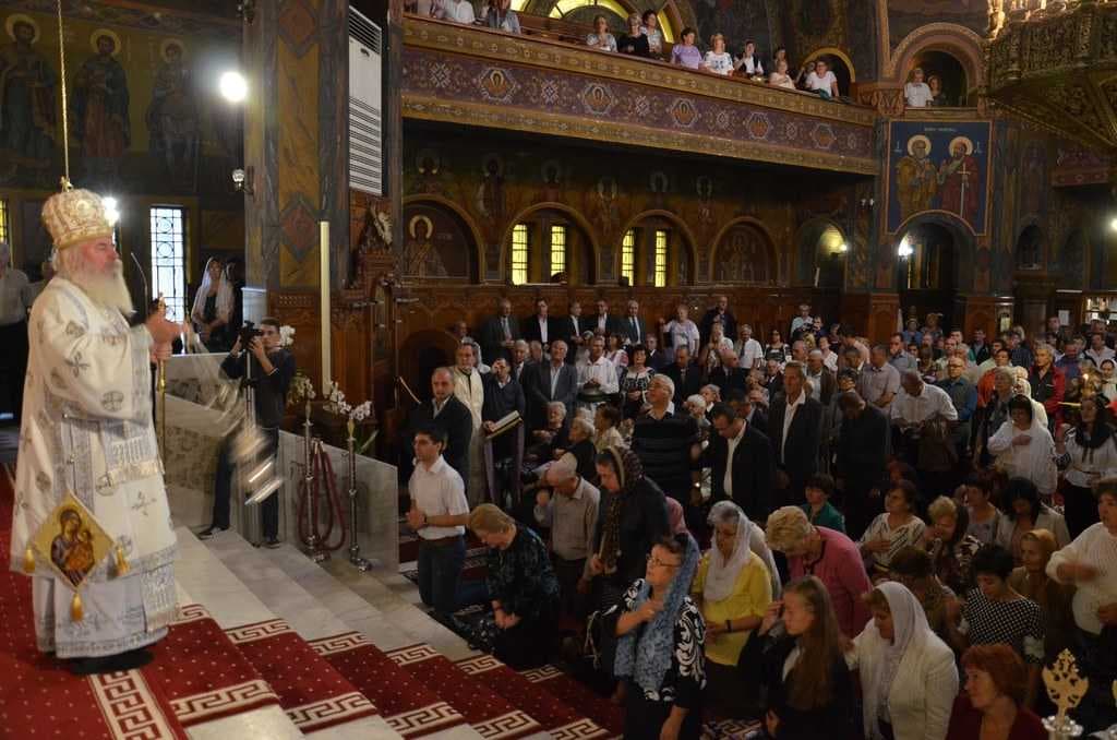 IPS IOAN