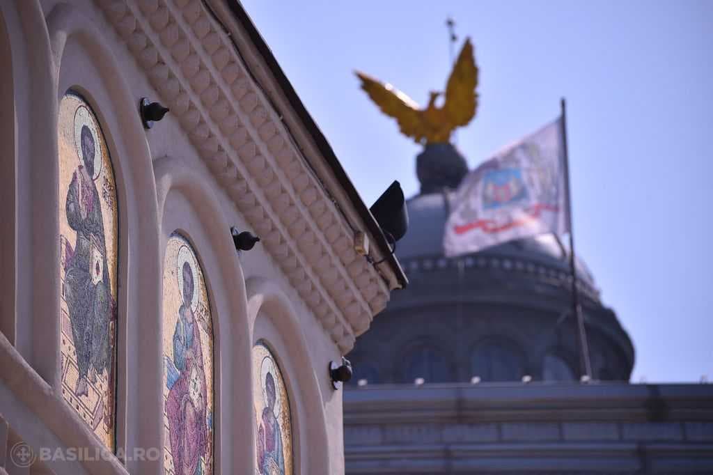 Vulturul Patriarhal - Foto comunicat